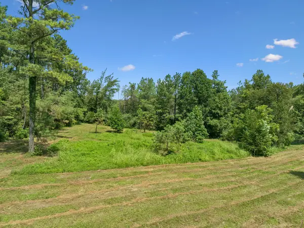 3224 Hunziker Ln, Fairview, TN 37062