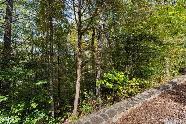 3 Holly Lane, Sevierville, TN 37862