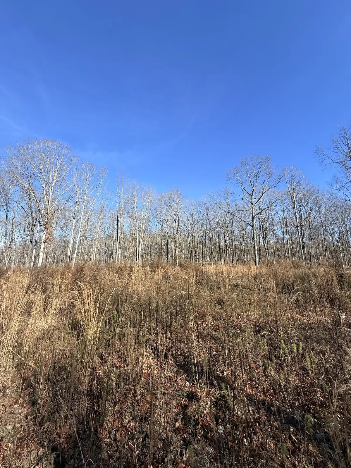 0 Deer Wood Dr, Sewanee, TN 37375