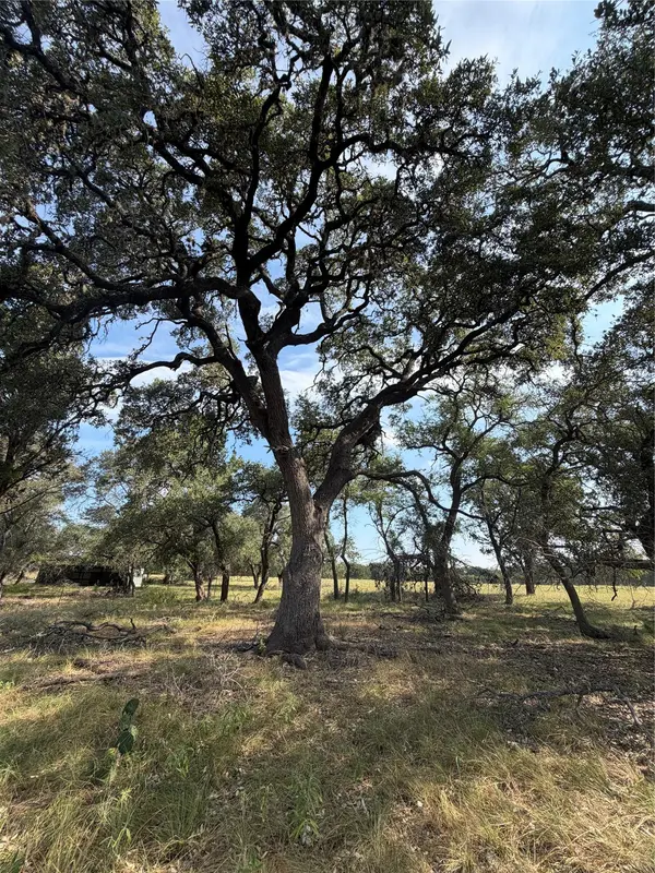 130 Quail HOLW, Wimberley, TX 78676