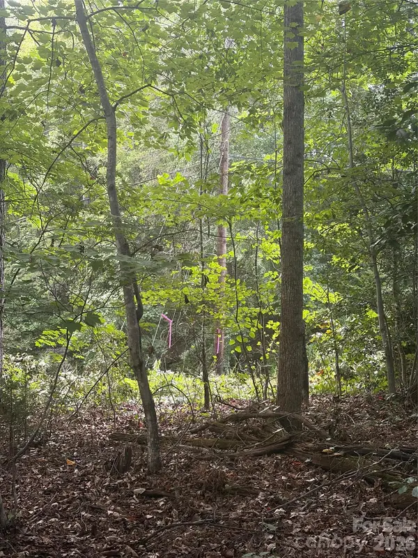 Lot 2 Edgewood RD, Wilkesboro, NC 28697