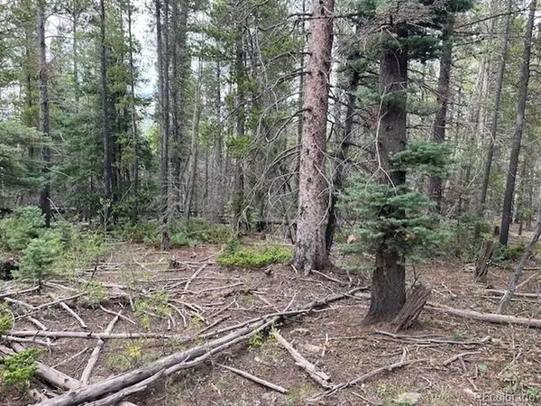 Stickney Lane, Lot 3126, Fort Garland, CO 81133
