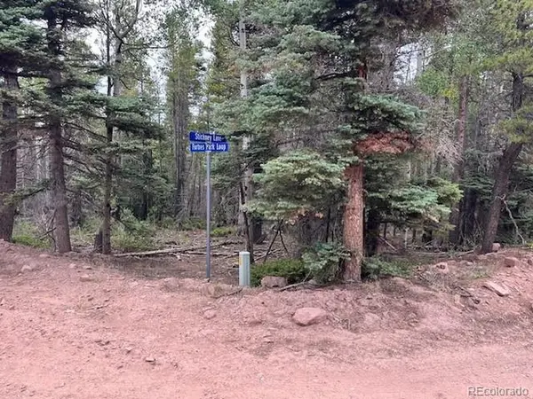 Stickney Lane, Lot 3126, Fort Garland, CO 81133