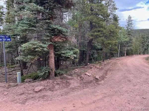 Stickney Lane, Lot 3126, Fort Garland, CO 81133