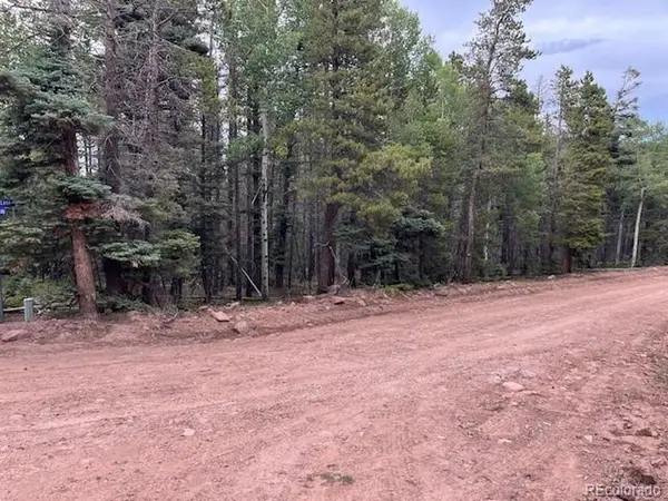 Stickney Lane, Lot 3126, Fort Garland, CO 81133