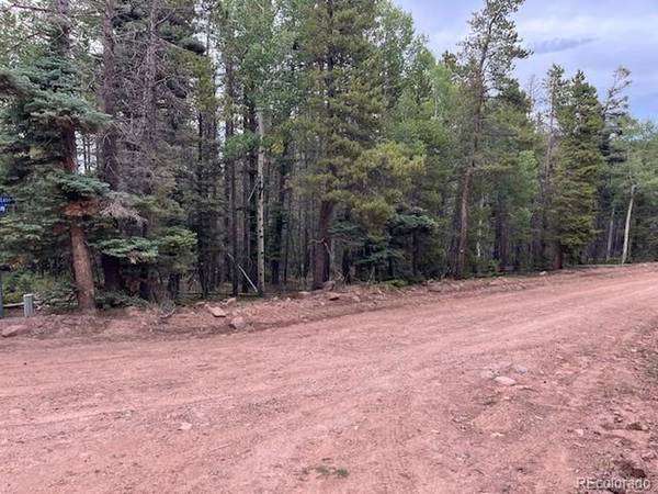 Stickney Lane, Lot 3126, Fort Garland, CO 81133