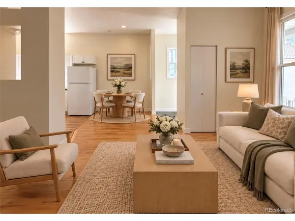 1024 Lipan, Denver, CO 80204