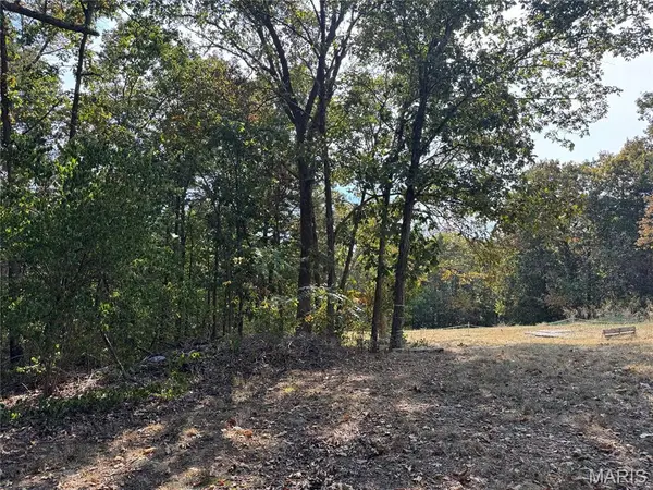 11679 State Route 21, Hillsboro, MO 63050