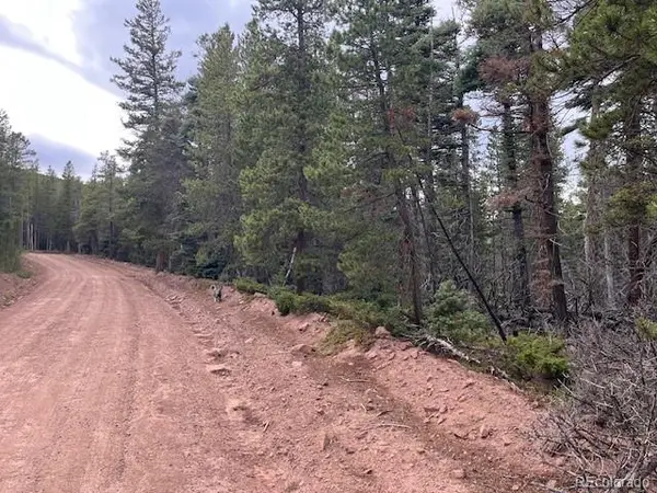 Stickney Lane, Lot 3126, Fort Garland, CO 81133
