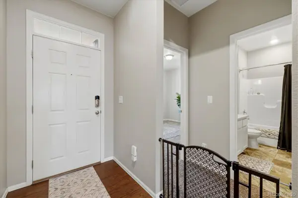326 Jay AVE, Windsor, CO 80550