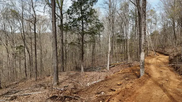 567 Geren Subdivision Lane, Decatur, TN 37322