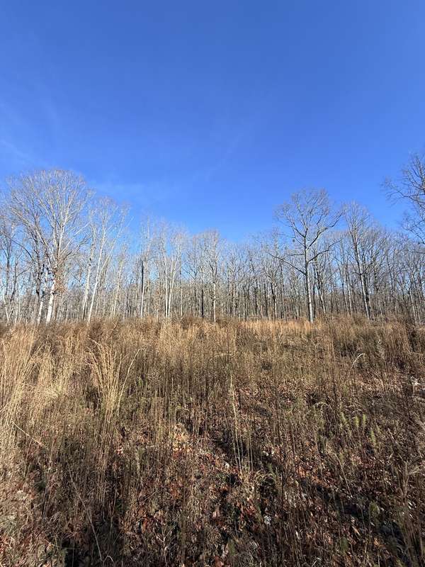 0 Deer Wood Dr, Sewanee, TN 37375