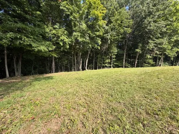 0 Collins Road, Allons, TN 38541