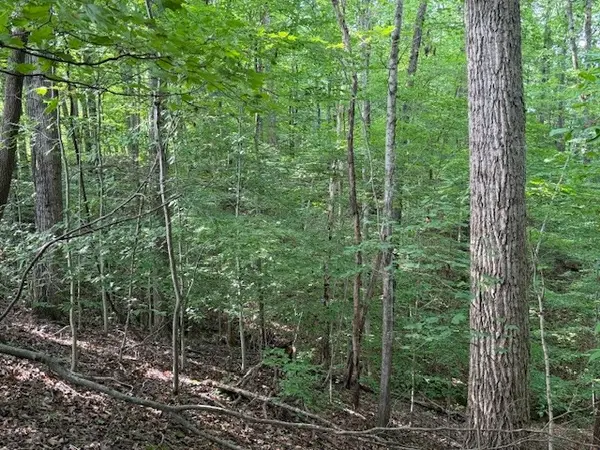 0 Collins Road, Allons, TN 38541
