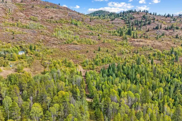 220 Catamount Ridge Ln, Ione, WA 99139