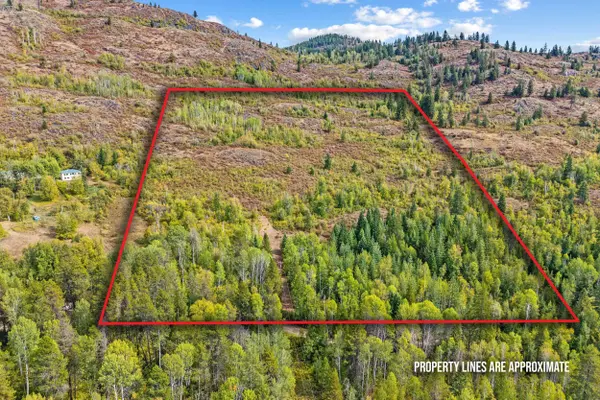 220 Catamount Ridge Ln, Ione, WA 99139