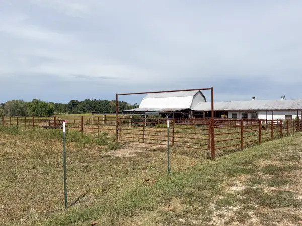 1869 Wall RD, Mountain Grove, MO 65711