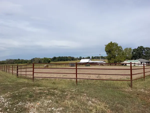 1869 Wall RD, Mountain Grove, MO 65711