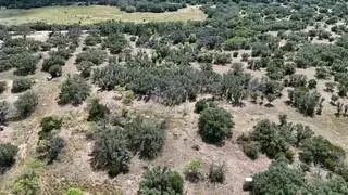178 County Road 199, Mullin, TX 76864