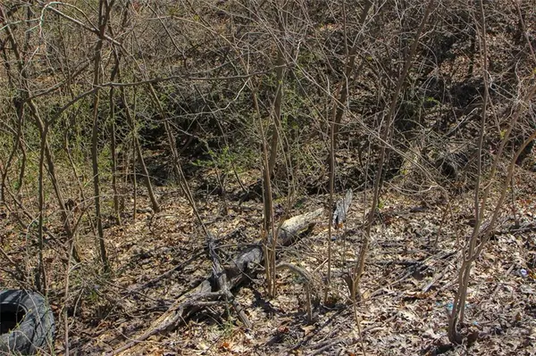 N Dometrorch RD, Rocheport, MO 65279