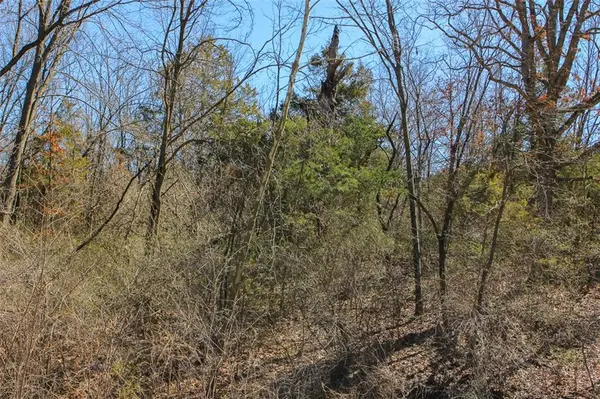 N Dometrorch RD, Rocheport, MO 65279