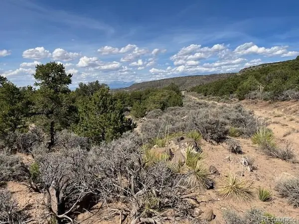 Flintlock Trail, Lot 110, San Luis, CO 81152