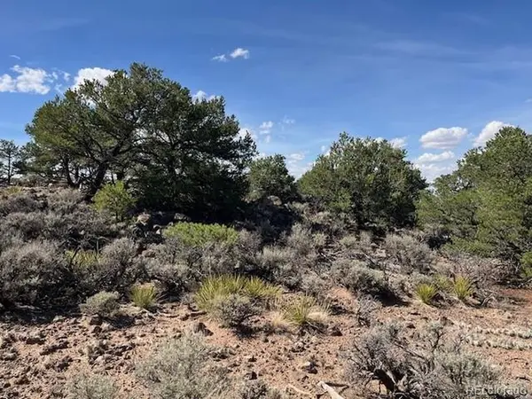 Flintlock Trail, Lot 110, San Luis, CO 81152