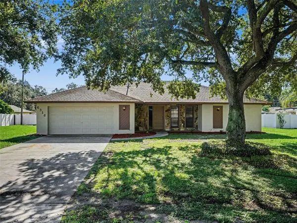 6316 TIMUCUANS DR, Lakeland, FL 33813