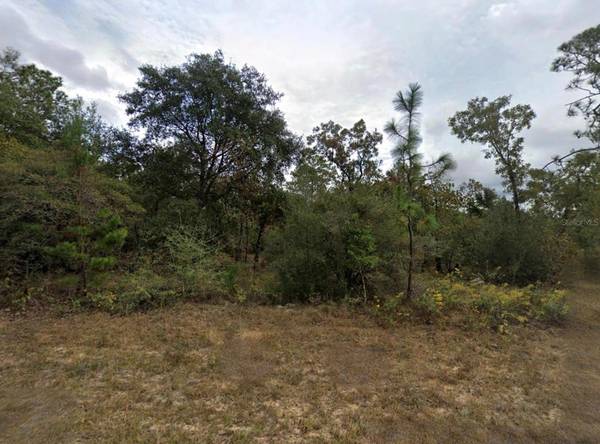 UNASSAIGNED, Chipley, FL 32428
