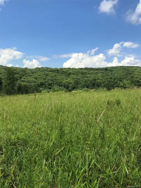 126 E Afton RD, Call Listing Agent, NY 13730