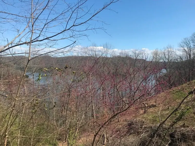 0 Marsh Road, Smithville, TN 37166