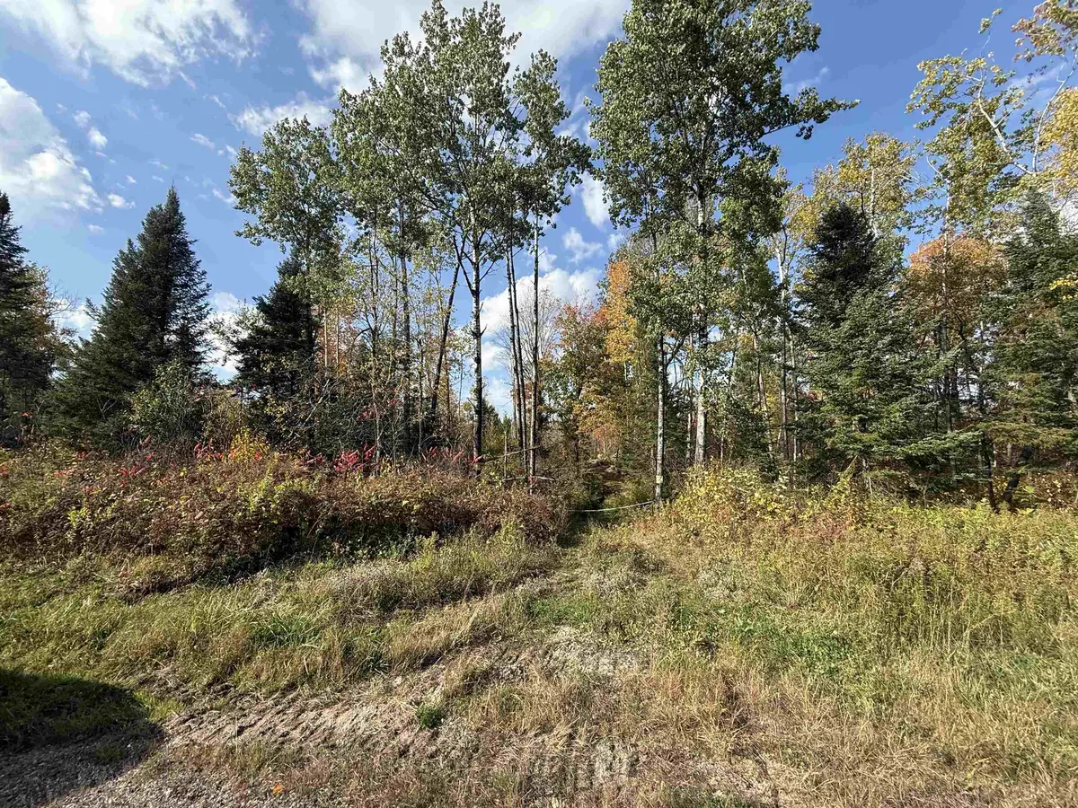 HWY 52 #0, Lily, WI 54491-0000