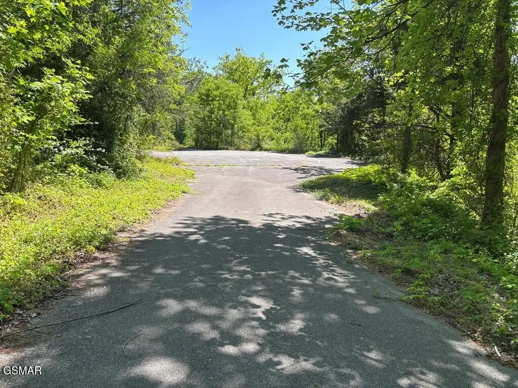 746 Ski Mountain Road, Gatlinburg, TN 37738