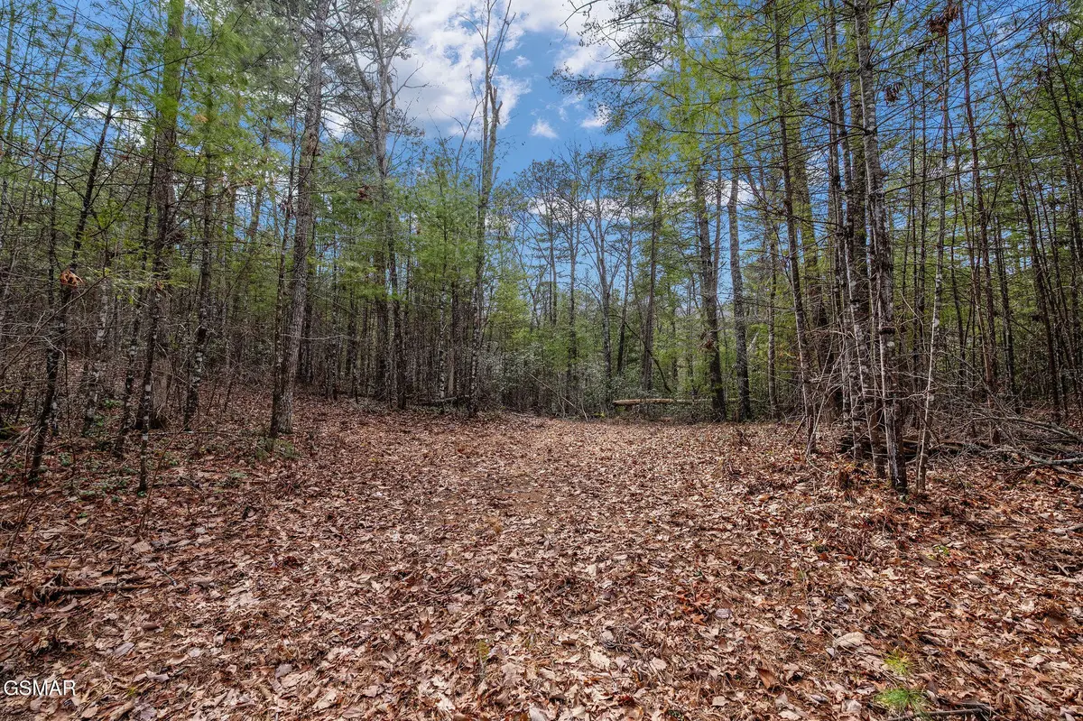 14 Paint Horse Way, Sevierville, TN 37876