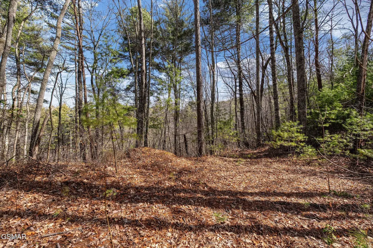 12 Paint Horse Way, Sevierville, TN 37876