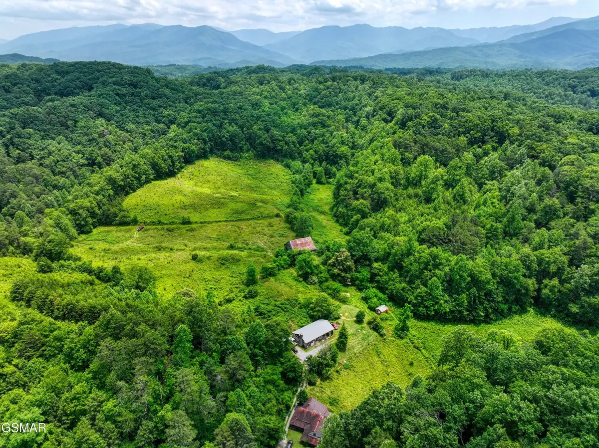 14255 Lower Powdermill Road, Sevierville, TN 37876