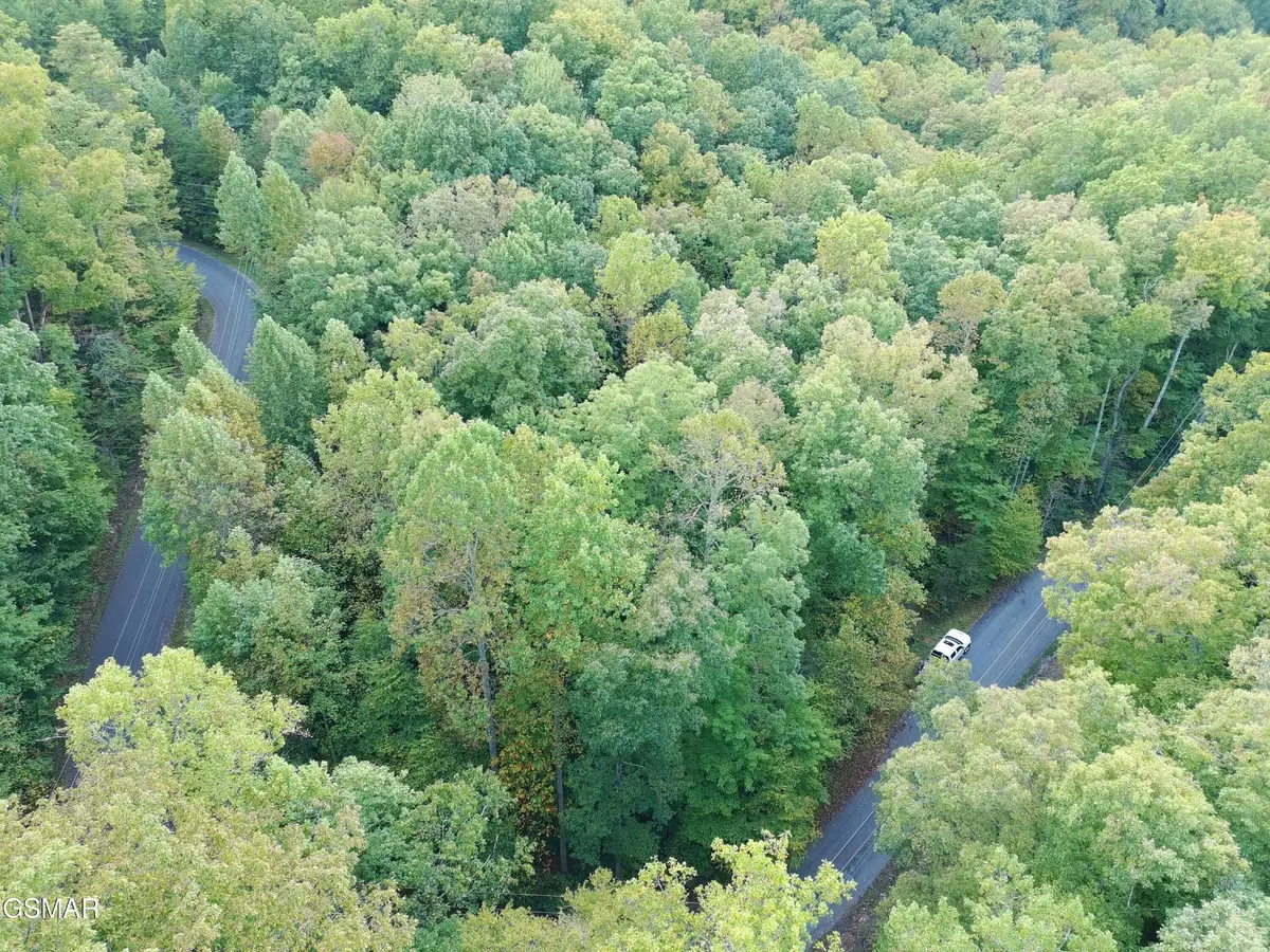 27 Pinnacle Vista Road, Gatlinburg, TN 37738