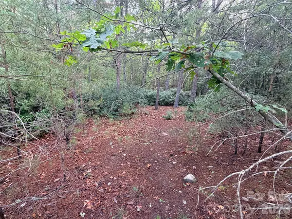TBD Waters Edge DR #3-16, Nebo, NC 28761