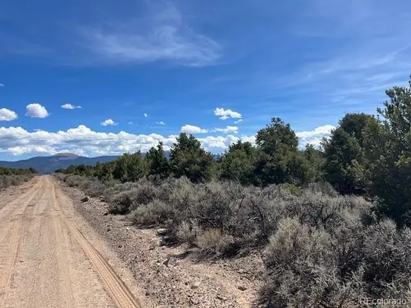 Garland Trail, Parcel 13, San Luis, CO 81152