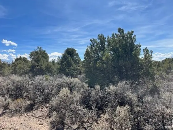 Garland Trail, Parcel 13, San Luis, CO 81152