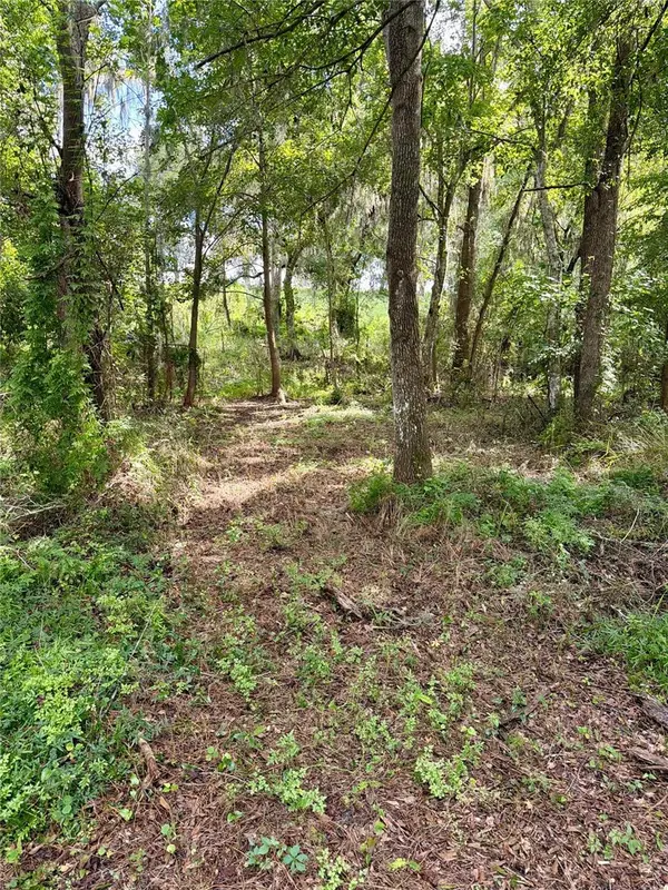 701 BROOKE RD, Fort Meade, FL 33841