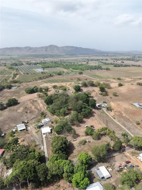306, Lajas, PR 00667