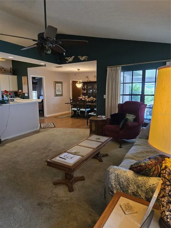 8008 LA SERENA DR, Tampa, FL 33614