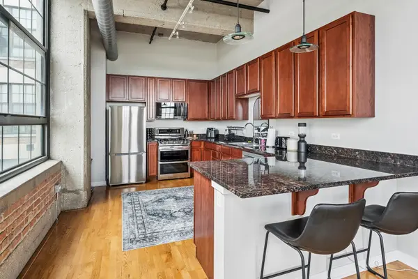3963 W Belmont AVE #413, Chicago, IL 60618