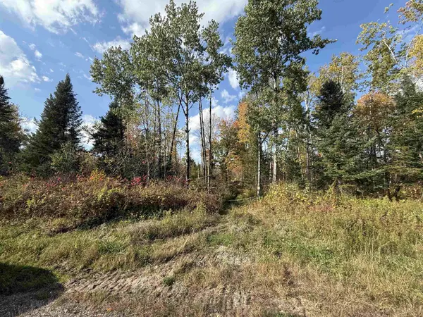 HWY 52 #0, Lily, WI 54491-0000