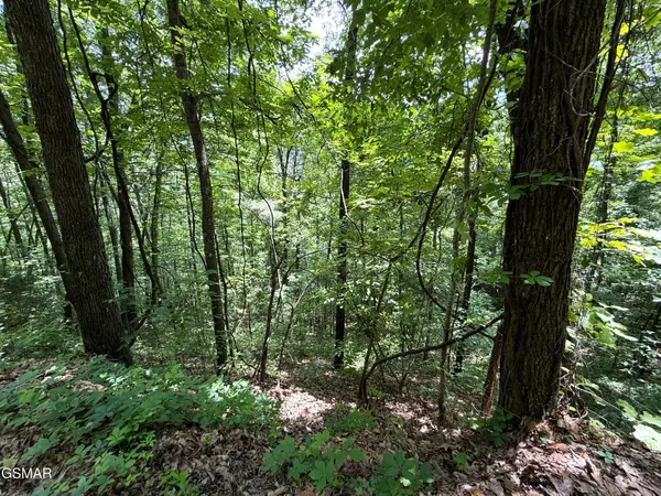 23 Aintree Drive, Sevierville, TN 37876