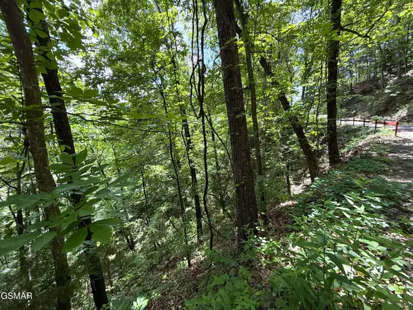 23 Aintree Drive, Sevierville, TN 37876