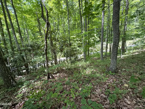 10 Swan Saddle, Sevierville, TN 37876
