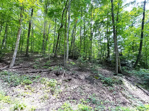 10 Swan Saddle, Sevierville, TN 37876