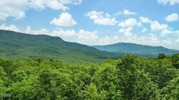 3710 Weber Road #203C, Gatlinburg, TN 37738